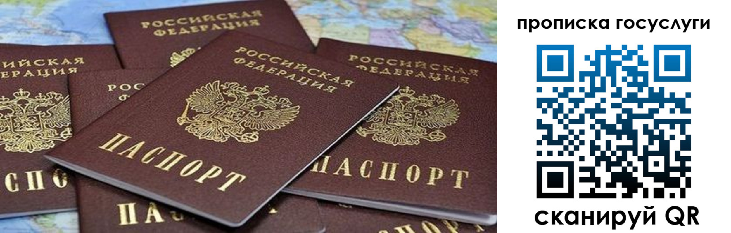 купить прописку в Ульяновске
